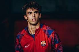 科罗拉多落基山队上演“落基狂热”，凭借季末疯狂连胜杀入世界大赛